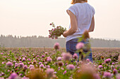 Caucasian woman picking flowers in field