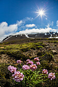 A view of the stratovolcano Snaefellsjokull, Snaefellsnes National Park, Snaefellsnes Peninsula, Iceland, Polar Regions