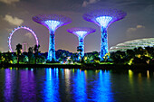 Supertree Grove in the Gardens by the Bay, a futuristic botanical gardens and park, illuminated at night, Marina Bay, Singapore, Southeast Asia, Asia