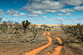 Trasse zu einem nahmenlosen Salzsee, Outback South Australia, Südaustralien, Australien