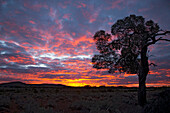 Sonnenaufgang am riesigen Salzsee Lake Geirdner, Lake Geirdner, Südaustralien, Australien