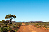 Outback road near the Pondanna ruins, Pondanna Ruins, Australia, South Australia