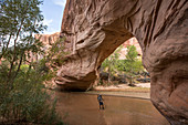 Whit Richardson hiking below Coyote Natural Bridge, Coyote Gulch, Grand Staircase Escalante-National Monument, Utah.