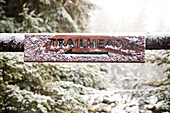 'A snow-dusted trail sign nailed to a fallen limb in an evergreen forests reads, ''Trailhead'' with an arrow pointing left.'