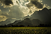Mountains with rays of sunlight shining down and fields of soy beans.