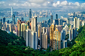 Hong Kong on a summer afternoon seen from Victoria Peak, Hong Kong, China, Asia