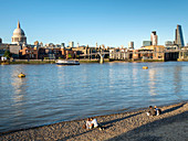St. Pauls and City skyline, beach beside the River Thames, London, England, United Kingdom, Europe