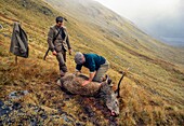 Hunter with wild game, Scotland, UK, Europe