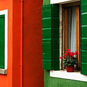 Walls of a house painted red and green with a potted flower on the windowsill, Venice, Italy