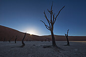 Sunrise over the Deadvlei, deep within Sossusvlei, Namibia