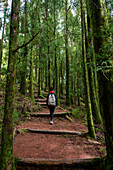 Young woman trekking in Sete Cidades, Ponta Delgada, Sao Miguel, Azores, Portugal