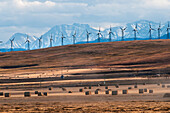 Wind turbines in a row with hay bales in the foreground and the Canadian Rockies in the background, Pincher Creek, Alberta, Canada