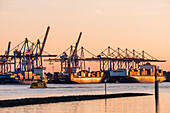 Sunset with container ships in Hamburg harbour, north Germany, Germany