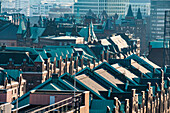 Blick über die Dächer der Speicherstadt in der Morgensonne, Hamburg, Norddeutschland, Deutschland