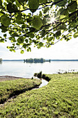 Bach mündet unter Schwarzerle in den Starnberger See. Im Hintergrund Roseninsel. Feldafing, Bayern, Deutschland