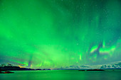 Aurora borealis, Aurora above Northern Atlantic Ocean, Lofoten, Norland, Norway