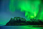 Aurora borealis, Polarlicht über Strand und verschneiten Bergen, Lofoten, Norland, Norwegen