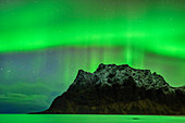 Aurora borealis, Aurora above Northern Atlantic Ocean and snow-covered mountain, Lofoten, Norland, Norway