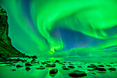 Aurora borealis, Polarlicht über Strand und Nordmeer, Lofoten, Norland, Norwegen