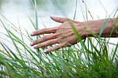 Female hand brushes through green grass with bright backdrop, Germany, Europe