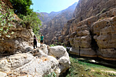 in der Oase Wadi Shab, Oman