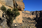 'Hiken im ''Grand Canyon'' am Jebel Shams, Akhdar Gebirge, Oman'
