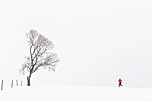 Junge Frau joggt durch verschneite Landschaft in Berg am Starnberger See, Bayern, Deutschland.