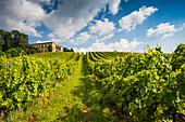 Villa Ludwigshöhe and vine yards, Rhodt unter Rietburg, German Wine Route or Southern Wine Route, Palatinate, Rhineland-Palatinate, Germany