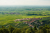 Blick von der Rietburg, Rhodt unter Rietburg, Deutsche Weinstraße oder Südliche Weinstraße, Pfalz, Rheinland-Pfalz, Deutschland