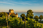 Burg Meersburg, Altes Schloss, Sonnenuntergang, Meersburg, Bodensee, Baden-Württemberg, Deutschland