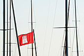 Die Hamburg Fahne zwischen der Takelage von Segelboten an der Außenalster, Hamburg, Deutschland