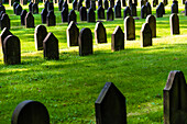 Soldiers' graves in the largest park cemetery of the world, Ohlsdorf, Hamburg, Germany