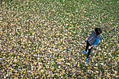 Young man standing on a meadow covered in leaves, Allgaeu, Bavaria, Germany