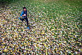 Junger Mann läuft über eine mit Blättern bedeckte Wiese, Allgäu, Bayern, Deutschland