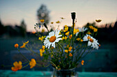 Flowers in vase outdoors