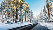 Highway in winter snow