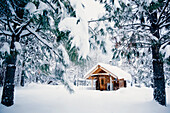 Cabin in snowy rural forest