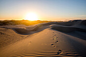Footprints in desert sand dunes