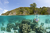 Korallen im Flachwasser, Raja Ampat, West Papua, Indonesien