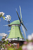 Gallerieholländerwindmühle Venti Amica in Hollern-Twielenfleth, Altes Land, Niedersachsen, Norddeutschland, Deutschland, Europa