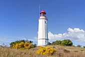 Lighthouse on the Dornbusch, Kloster, Island Hiddensee, Baltic coast, Mecklenburg-Western Pomerania, Northern Germany, Germany, Europa
