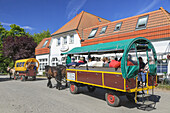 Horse and cart in Kloster, Island Hiddensee, Baltic coast, Mecklenburg-Western Pomerania, Northern Germany, Germany, Europa