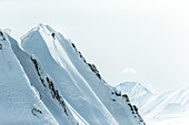 Junger Skifahrer fährt abseits der Pisten durch den Tiefschnee, Gudauri, Mzcheta-Mtianeti, Georgien