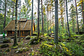 Eine Holzhütte steht im Wald zwischen Kiefern und Birken und bemoosten Felsen, Trollegater, Kinda, Östergötland, Schweden