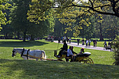 Pferdekutsche, Englischer Garten, München, Bayern, Deutschland