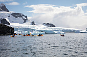 Passagiere von Expeditions Kreuzfahrtschiff MV Sea Spirit (Poseidon Expeditions) paddeln im Seekajak entlang Eisschollen und Eisbergen, Cuverville Island, Grahamland, Antarktische Halbinsel, Antarktis