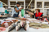 Markthalle, Mercado de Campo de Ourique, Fischstand, Fischverkäufer, Lissabon, Portugal