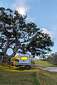idyllic camping location, shady old Pohutukawa tree, empty beach, 4WD Campervan, Campsite, Elliot Bay, North Island, New Zealand