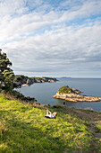 coastal landscape, Hahei, Mercury Bay, Coromandel Peninsula, North Island, New Zealand