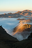 sunrise, ground fog, fogging, morning fog, hills, valleys, view from the ridge of Te Mata Peak, Hawke's Bay, hill country, North Island, New Zealand